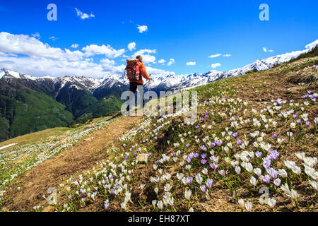 Gli escursionisti a piedi lungo un sentiero circondato da fiori di primavera nei pressi della Cima della Rosetta nelle Alpi Orobie, Lombardia, Italia, Europa Foto Stock