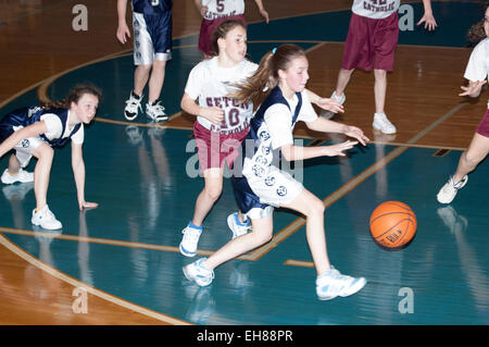 American middle school ragazze giocare a basket Foto Stock