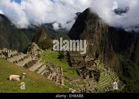 Vista sulla cittadella di Machu Picchu, Sito Patrimonio Mondiale dell'UNESCO, la Valle Sacra, Perù, Sud America Foto Stock