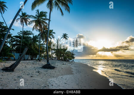 Tramonto sulla spiaggia di Pigeon Point, Tobago Trinidad e Tobago, West Indies, dei Caraibi e America centrale Foto Stock