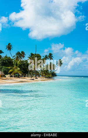 Spiaggia di sabbia e palme di Pigeon Point, Tobago Trinidad e Tobago, West Indies, dei Caraibi e America centrale Foto Stock