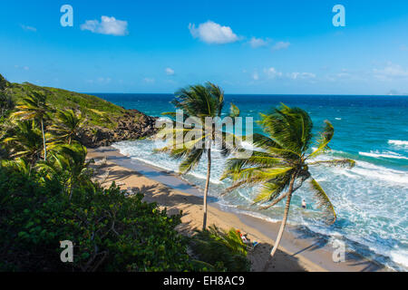 Vista su Petite Anse vicino Sauteurs, Grenada, isole Windward, West Indies, dei Caraibi e America centrale Foto Stock
