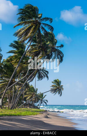 La spiaggia di Sauteurs, Grenada, isole Windward, West Indies, dei Caraibi e America centrale Foto Stock