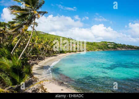 Spiaggia di sabbia sulla Baia di industria, Bequia, Grenadine, Saint Vincent e Grenadine, isole Windward, West Indies, dei Caraibi Foto Stock