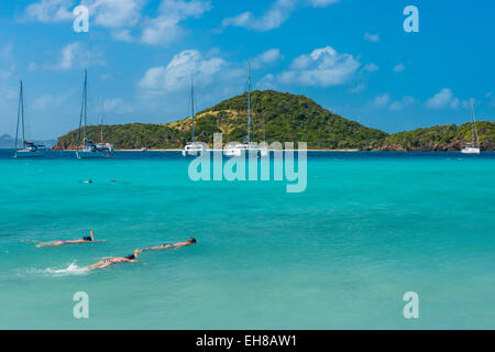 I turisti lo snorkeling in acque turchesi del Tobago Cays, Grenadine, isole Windward, West Indies, dei Caraibi Foto Stock