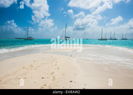 La sabbia bianca banca nelle acque turchesi del Tobago Cays, Grenadine, isole Windward, West Indies, dei Caraibi Foto Stock