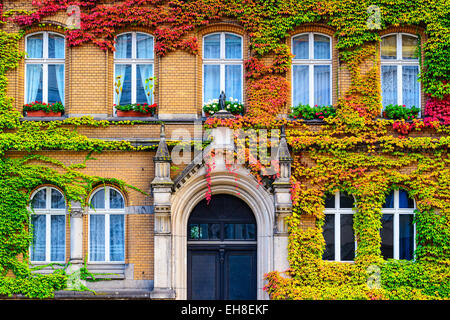 Vite coperto facciata di edificio di Berlino, Germania. Foto Stock