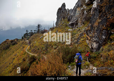 BU00294-00...BHUTAN - Trekking Scendendo il sentiero roccioso da Thombu La al Paro Chhu Valle sul Jhomolhari 2 Trek. Foto Stock