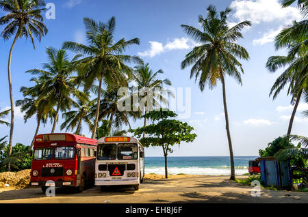 DIKWELLA, SRI LANKA - Gennaio 2, 2015: regolari autobus pubblico vicino alla spiaggia in Dikwella. Foto Stock