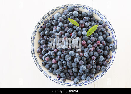 Appena raccolto wild bassa bush i mirtilli in una ciotola in Cina. Foto Stock