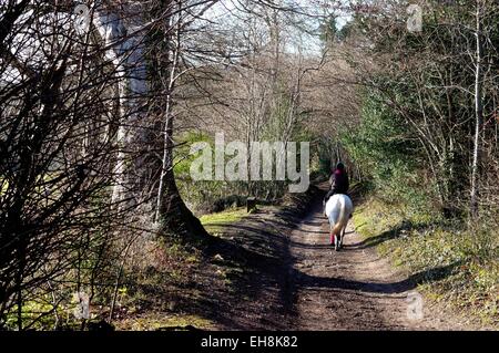 Vicolo del paese nel Surrey Hills con la femmina a cavallo Foto Stock