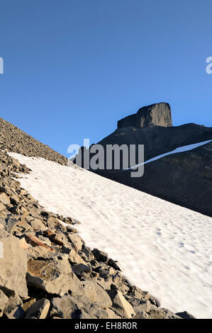 Il nero del brosmio Garibaldi Provincial Park, British Columbia, Canada Foto Stock