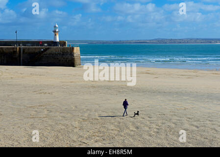 La donna e il cane a camminare sulla spiaggia, St Ives, Cornwall, England Regno Unito Foto Stock