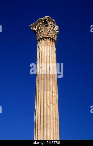 Grecia, Atene, tempio di Zeus Olimpio, colonna corinzia Foto Stock