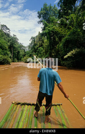 Polo di bambù rafting sul fiume attraverso la giungla, vicino a Chiang Mai, Thailandia Foto Stock