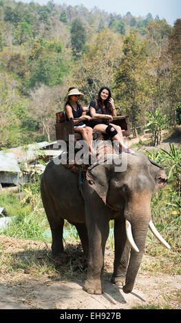 Tourist godendo di una corsa su una Thai Elephant nel campo degli Elefanti di Mae Sa vicino a Chiang Mai. Foto Stock