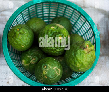 Kaffir limes venduti in un mercato tailandese. Foto Stock