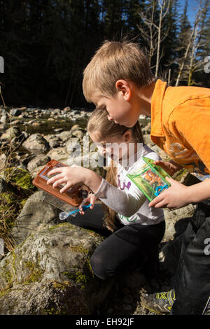 9 anno vecchia ragazza e dei suoi sette anni di fratello guardando appena pescato insetti collocati nella loro casella di bug Foto Stock