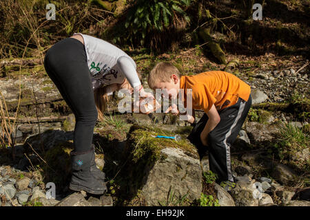 9 anno vecchia ragazza e dei suoi sette anni di fratello guardando appena pescato insetti collocati nella loro casella di bug in North Bend, WA Foto Stock