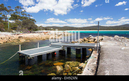 Piccolo molo a Binalong Bay, Tasmania, Australia Foto Stock