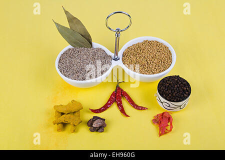 Abbondanza Masale variazione disponendo gli alimenti e la nutrizione nessuno di qualità Foto Stock