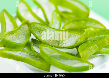 Herb Aloe Vera salute nessuno Foto Stock