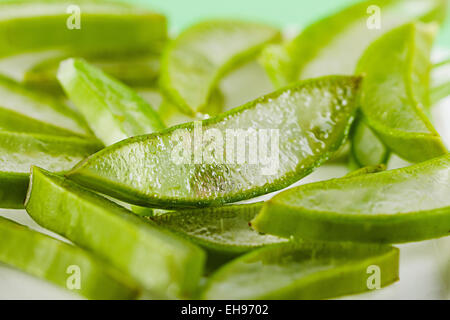 Herb Aloe Vera salute nessuno Foto Stock