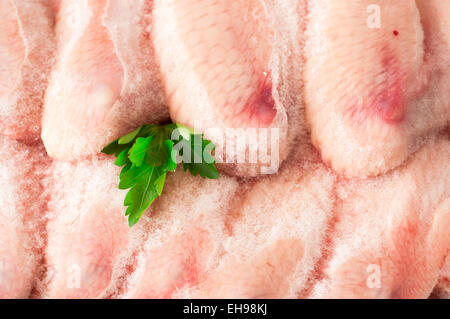 Congelati ali di pollo ricoperta di ghiaccio Foto Stock