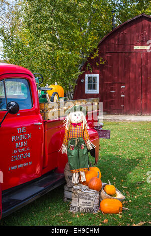 Zucche in vendita e in esposizione presso lo storione zucca fienile vicino al villaggio di croce, Michigan, Stati Uniti d'America. Foto Stock