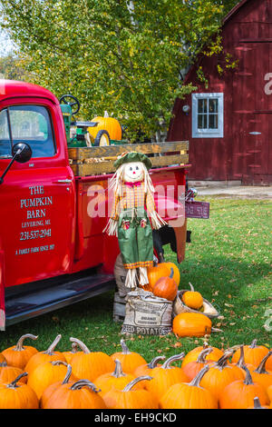 Zucche in vendita e in esposizione presso lo storione zucca fienile vicino al villaggio di croce, Michigan, Stati Uniti d'America. Foto Stock