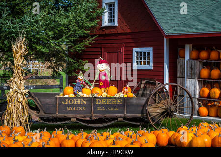 Zucche in vendita e in esposizione presso lo storione zucca fienile vicino al villaggio di croce, Michigan, Stati Uniti d'America. Foto Stock