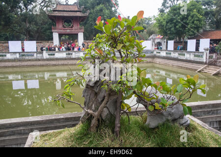 Struttura entro motivi del Tempio della Letteratura,Hanoi, Vietnam. Foto Stock