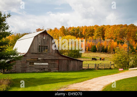 Una farm barn con la caduta delle foglie il colore nelle zone rurali del Wisconsin, USA, America. Foto Stock