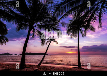 Sfondo di vacanza fatta di palme sagome al tramonto. Foto Stock