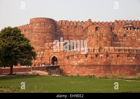 Il Forte Rosso, Agra, Uttar Pradesh, India Foto Stock