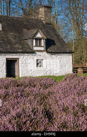 Agriturismo Cilewent St Fagans Cardiff Galles del Sud Foto Stock