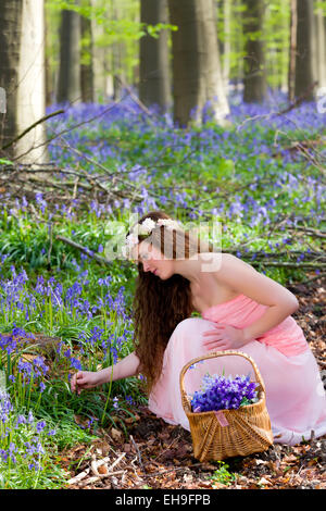 Giovane donna in abito rosa bluebells di prelievo in una foresta di primavera Foto Stock