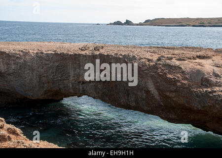 Baby Natural bridge è un residuo di una grotta sulle rive dell isola dei Caraibi Aruba e attrae molti turisti. Foto Stock