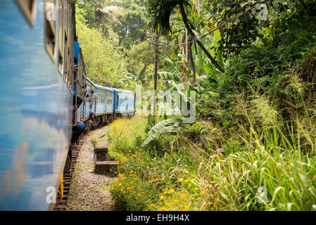 Treno da Haputale ad Ella, Sri lanka, Asia Foto Stock