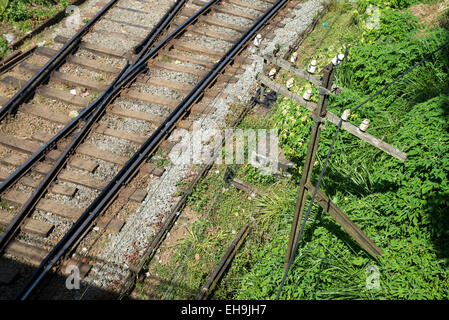 Hatton stazione ferroviaria sul percorso da Kandy a Ella, negli altopiani dello Sri Lanka, in Asia Foto Stock