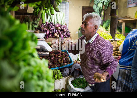 Mercato alimentare a Nuwara Eliya, provincia di Kandy, Sri Lanka, Asia Foto Stock