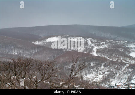 Bellissimo sfondo blu di bellezza chill natale freddo colorate colore cool giorno l'Europa foresta congelati frost hill paesaggio di ghiaccio Foto Stock