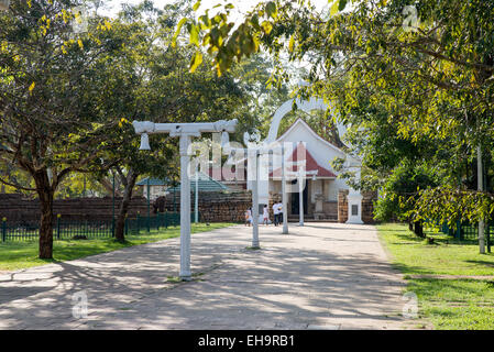 Sacra buddista Maha Bodhi tree, Sri Lanka, Asia Foto Stock