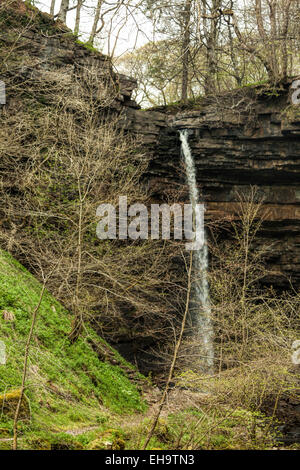 Vista sulla forza Hardraw, Inghilterra del singola più alta cascata di discesa , superiore Wensleydale, Yorkshire Dales National Park, Regno Unito. Foto Stock