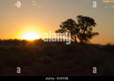 Un caldo tramonto nel paesaggio della Namibia Foto Stock