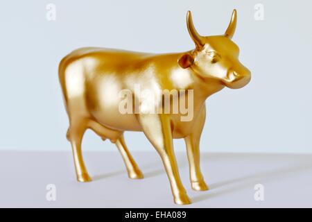 Golden Bull/mucca, HIGH RES, 36MPX. Foto Stock