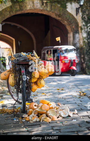 Fornitore di noce di cocco in Fort Galle, Sri Lanka, Asia Foto Stock