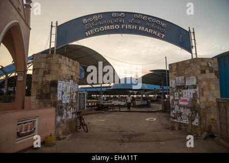 Gate al mercato del pesce fresco a Negombo, Sri Lanka, Asia Foto Stock