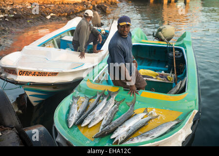 Mercato del pesce fresco a Negombo, Sri Lanka Foto Stock