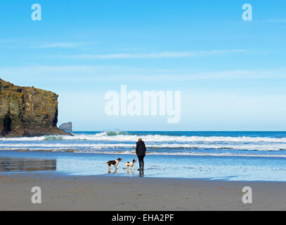 Donna e cani sulla spiaggia di Port Isaac, Cornwall, England Regno Unito Foto Stock